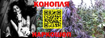 крисы Изобильный