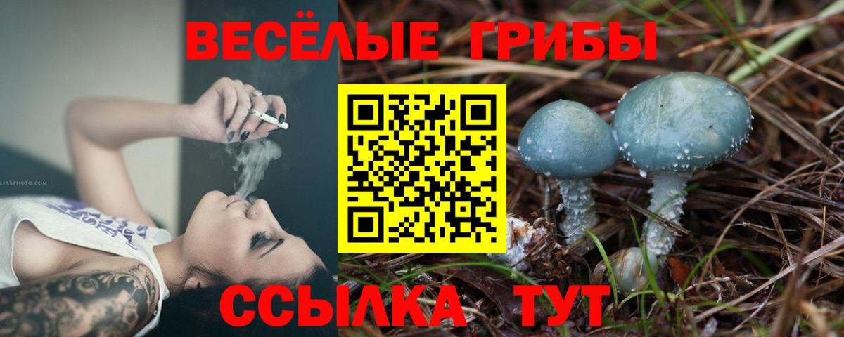 Галлюциногенные грибы прущие грибы Железноводск