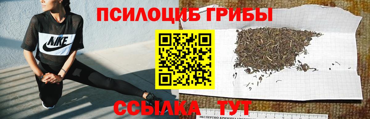 Галлюциногенные грибы мухоморы  Вход с VPN  Галлюциногенные грибы мухоморы  цены наркотик  Железноводск 